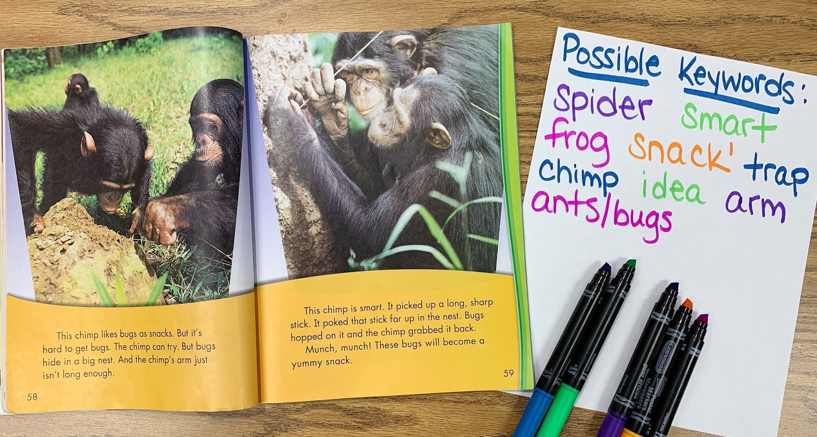 Text showing chimps and possible keywords paper with words written on it