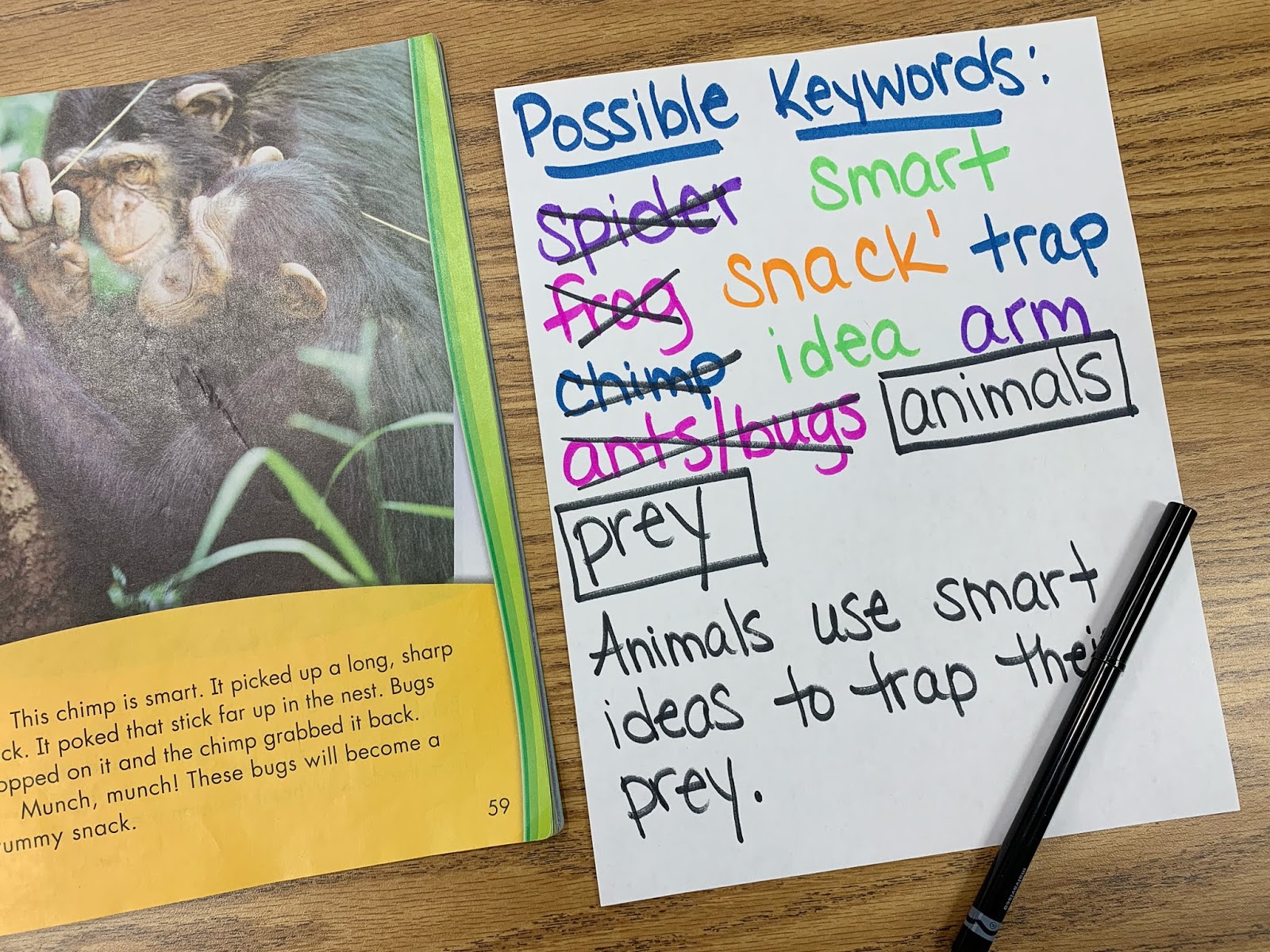 Text showing a picture of chimps and possible keywords paper with main idea sentence added